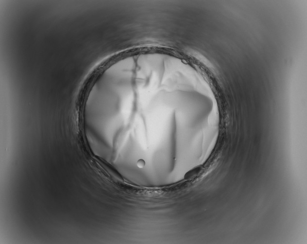 X0000096151310200802151346