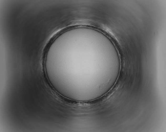 X0000096151312200802151346