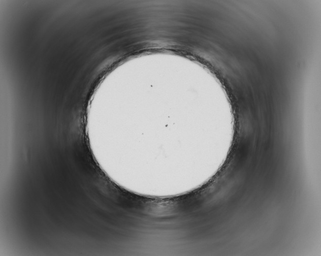 X0000096151314200802151346