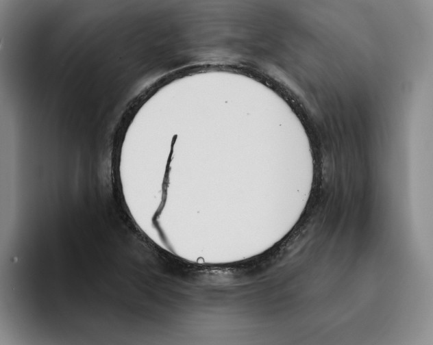 X0000096151315200802151346