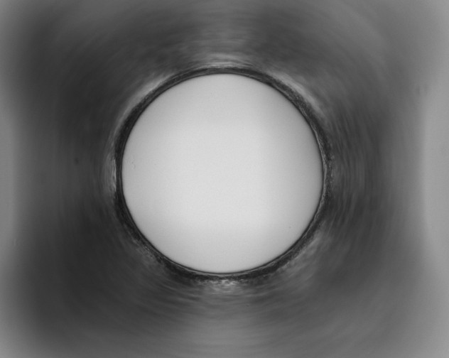 X0000096151317200802151346