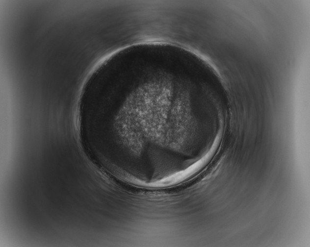 X0000096151319200802151346