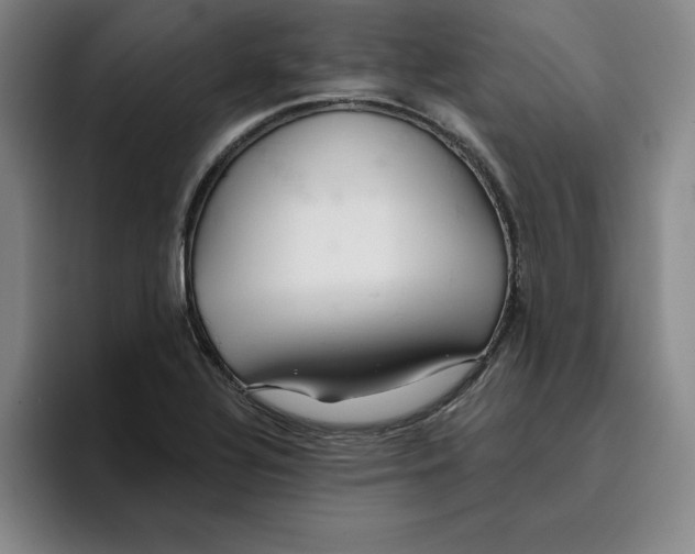 X0000096151320200802151346