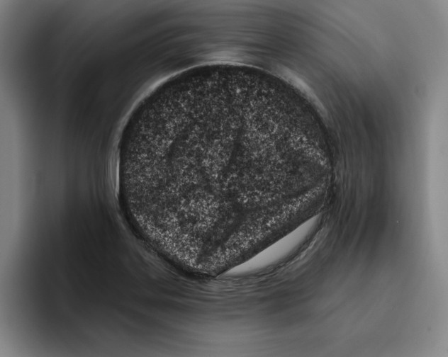 X0000096151323200802151346