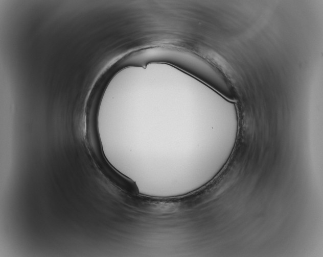 X0000096151324200802151346