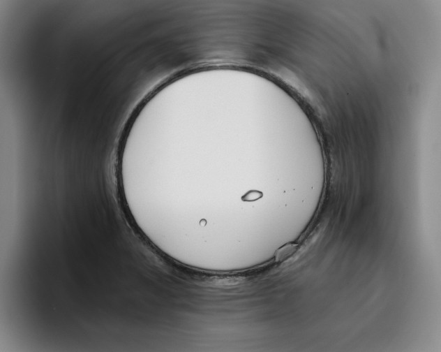 X0000096151325200802151346