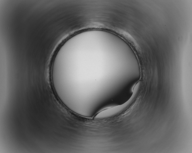 X0000096151326200802151346