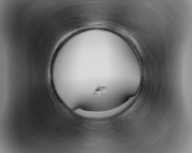 X0000096151328200802151346