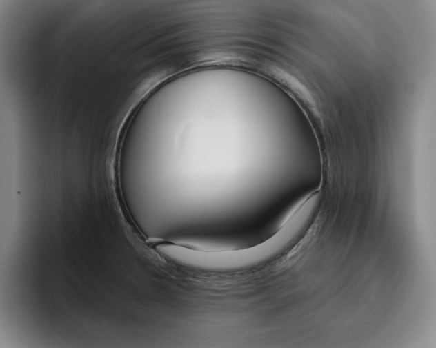 X0000096151330200802151346