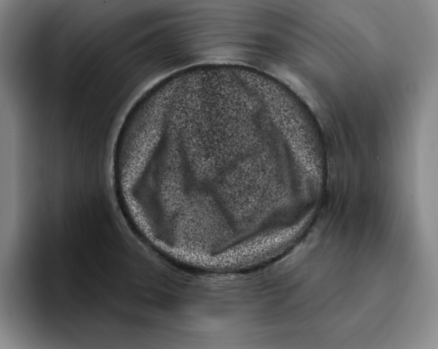 X0000096151331200802151346