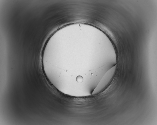 X0000096151332200802151346