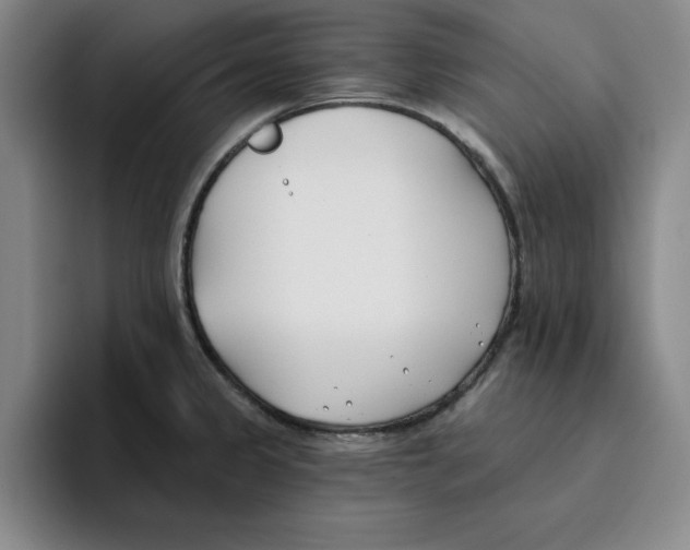 X0000096151333200802151346