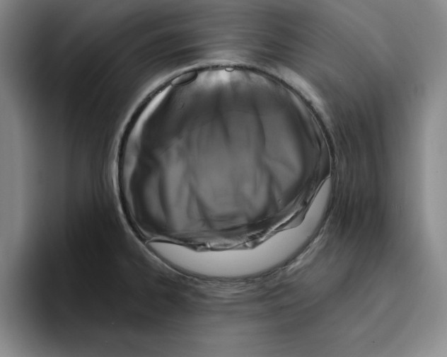 X0000096151334200802151346