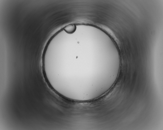 X0000096151335200802151346