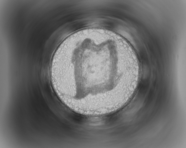 X0000096151338200802151347