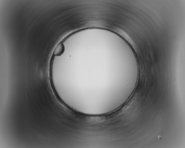 X0000096151339200802151347