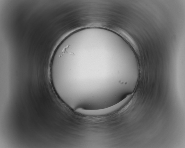 X0000096151340200802151347