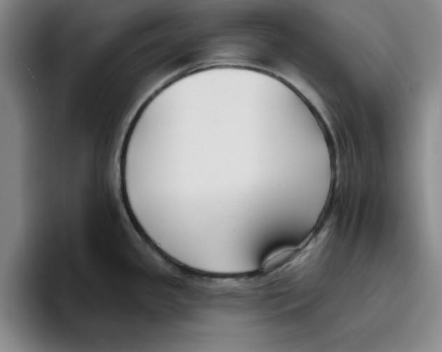 X0000096151341200802151347