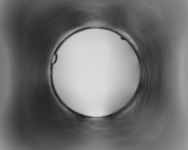 X0000096151343200802151347