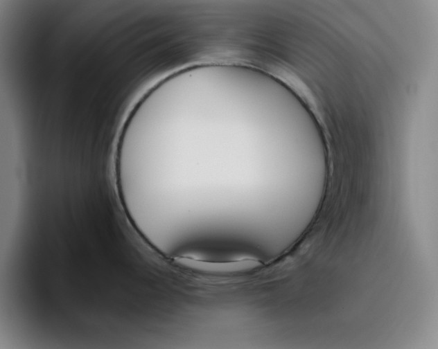 X0000096151344200802151347