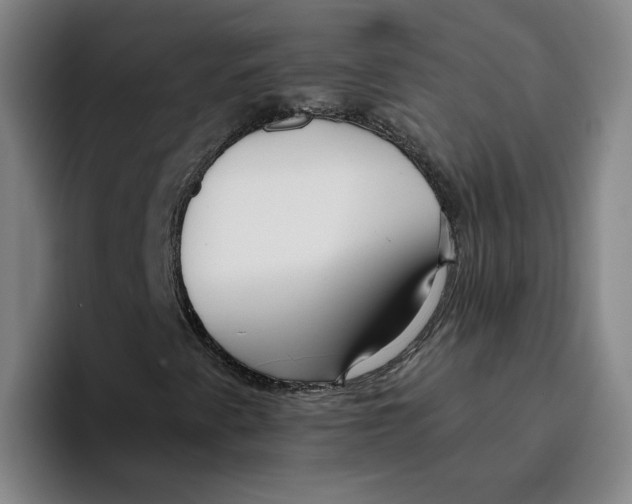 X0000096151345200802151346