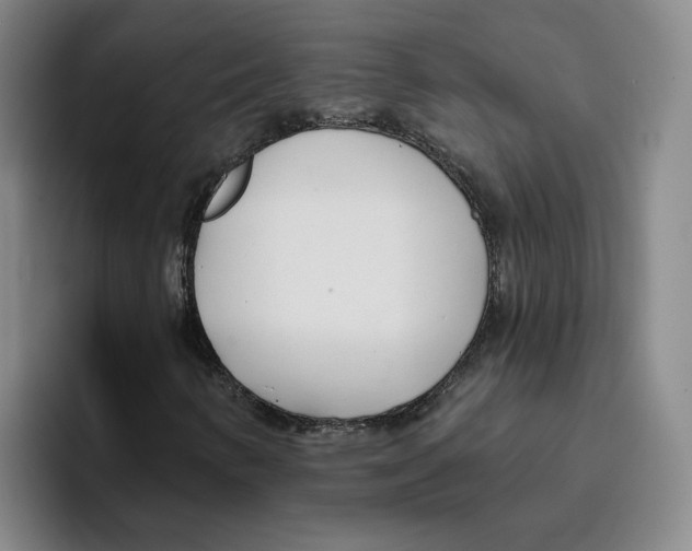 X0000096151346200802151346