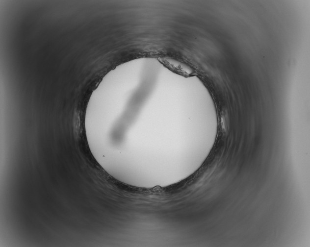 X0000096151347200802151346