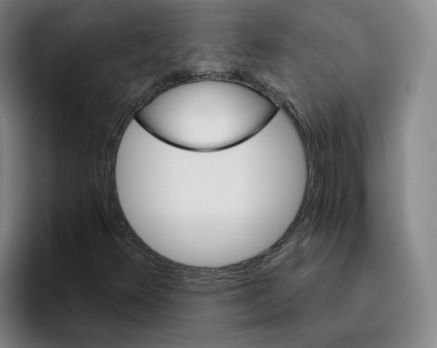 X0000096151348200802151346