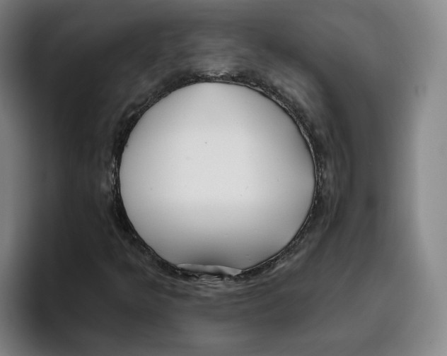 X0000096151349200802151346