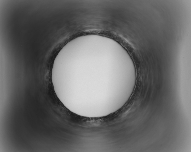 X0000096151351200802151346