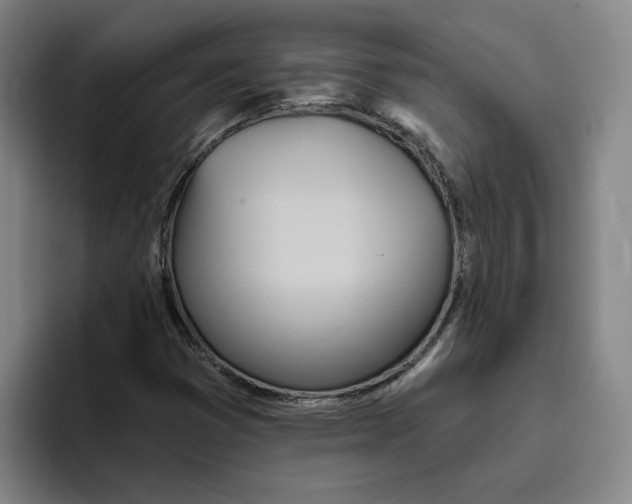 X0000096151353200802151346