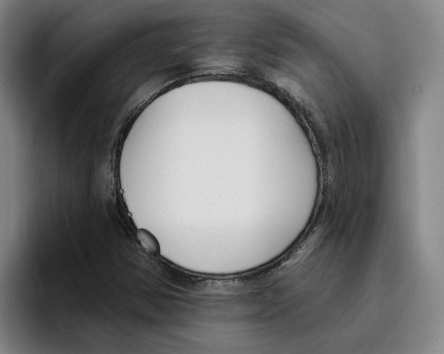 X0000096151354200802151346