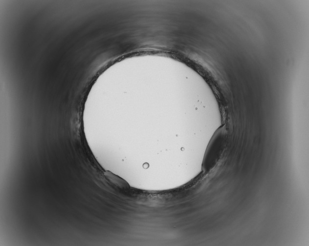 X0000096151355200802151346