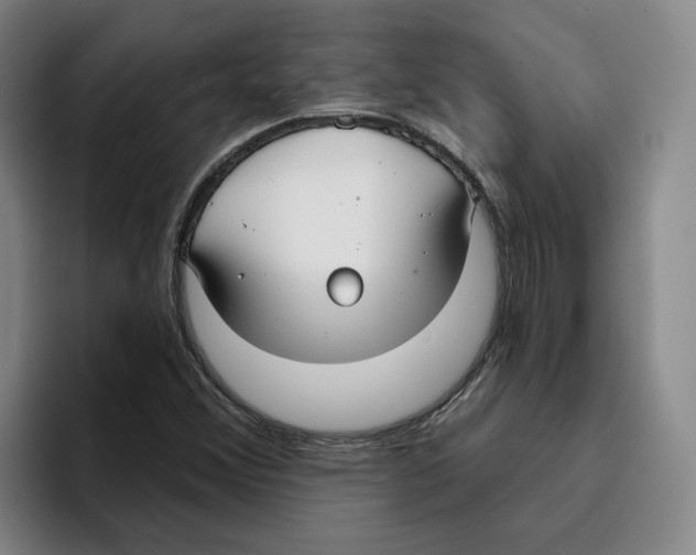 X0000096151356200802151346