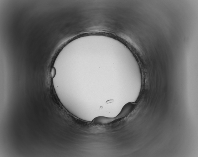 X0000096151358200802151346