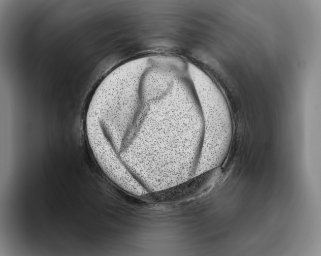 X0000096151362200802151346