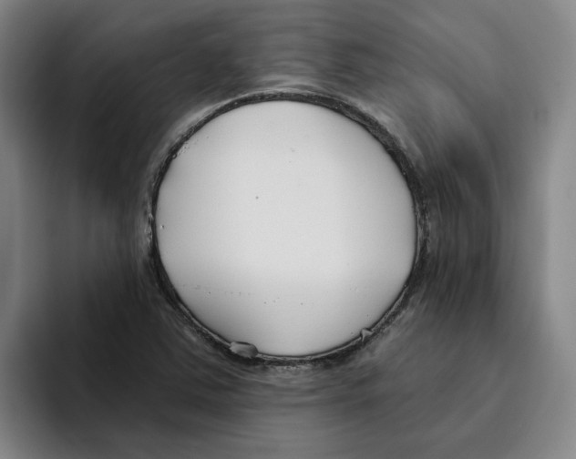 X0000096151363200802151346