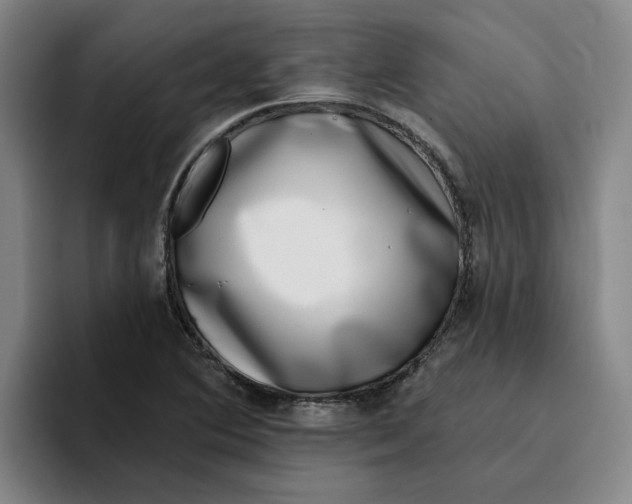 X0000096151364200802151346