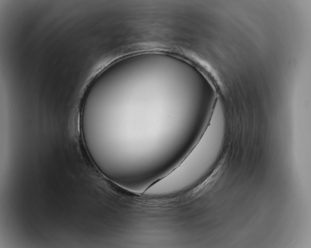 X0000096151365200802151346