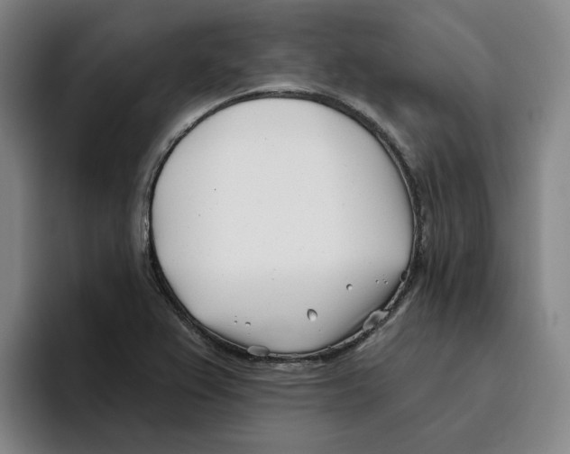 X0000096151367200802151346