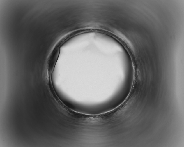 X0000096151368200802151346