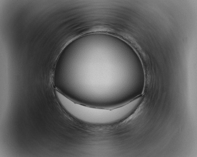 X0000096151369200802151346