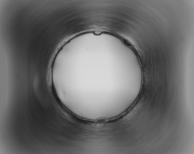 X0000096151371200802151346