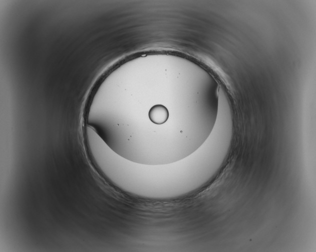 X0000096151372200802151346