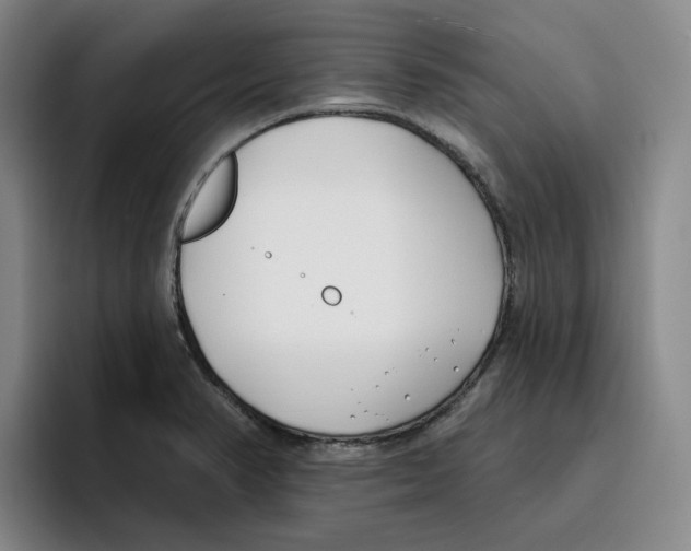 X0000096151374200802151346