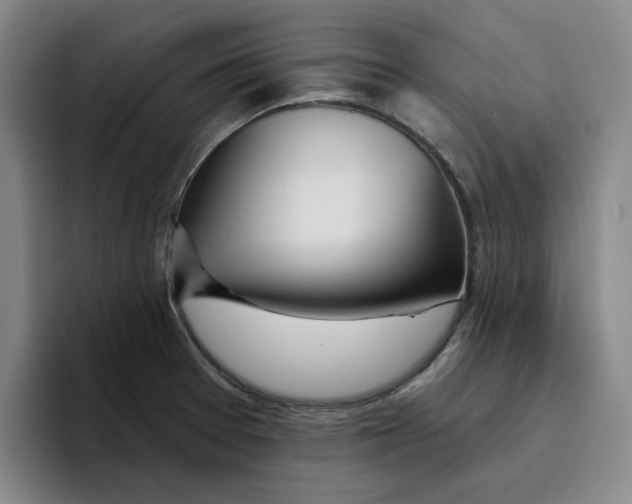 X0000096151377200802151346