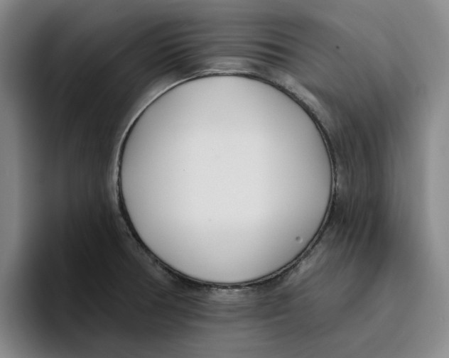 X0000096151378200802151346