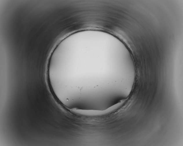 X0000096151379200802151346