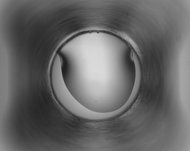 X0000096151380200802151346