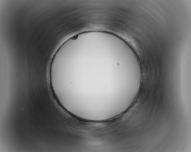 X0000096151382200802151345